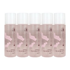 과일나라 본체청정연 네일리무버 리뉴얼 100ml x 5개