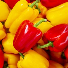 국내산 파프리카 2kg/5kg (가정용/정품) 달고 맛있는 달콤아삭 생으로 즐기는 파프리카, 파프리카 2kg (가정용) 12-18개내외, 1박스