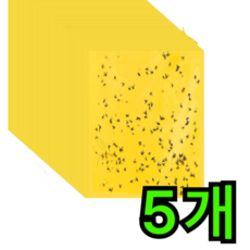 컴포터 초강력 해충 날파리 초파리 끈끈이 트랩, 1개, 5매입