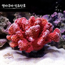 영아쿠아 인조산호 코랄 YA1712, 1개