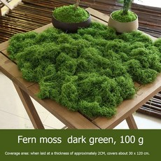 인조 이끼 보존 녹색 식물 가짜 공예 잔디 집 정원 장식 조경, 1개, 2. dark green