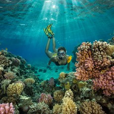 [오키나와 오박사 액티비티] 현지 직거래 스노쿨링 쿠폰 (현지 한국어 대응)