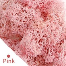 영원한 생명 이끼 DIY 공예 잔디 인공 녹색 식물 홈 룸 정원 장식 미니 풍경 가짜 20/40/100g, 7)20gram, Pink