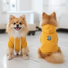 강아지후드티 반려동물 컬러순면 캐릭터 강아지옷 캥거루주머니 100%면티, 1개, HB옐로우