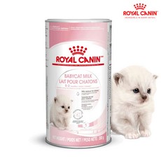 (최근입고분) 로얄캐닌 베이비캣 밀크 아기고양이 분유 증정) 닭가슴살1개, 300g, 1개, 우유