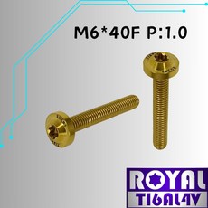 【瘋螺絲】ROYAL M6*40F P:1.0 飛碟頭螺絲 64鈦/正鈦/鈦合金螺絲 土豪金, 1個