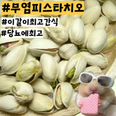 [내일도착] 당뇨예방 무염 햄스터 기니피그 친칠라 이갈이 피스타치오 간식, 3개, 20g