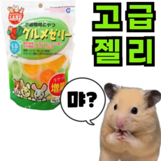 (best) 마루칸 고급 비타민 젤리 3종 햄스터 간식 고슴도치 슈가글라이더 기니피그, 180g, 1개