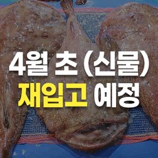 국내산 아귀 국산 손질 아구 아귀찜, 1박스, 원물 (5-6미) 10kg 내외