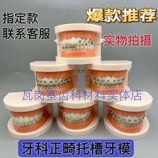 치아 모델 브라켓 실습 이빨 모형 교육용 덴티폼, 전체 금속 브라켓 아치와이어 없음 작은 칫솔질