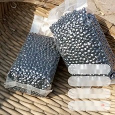 검은콩 서리태 1kg 1개 2개 중국산 햇콩 JIKTEM BJ5121306, 500g