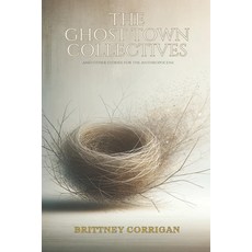 (영문도서)The Ghost Town Collectives: And Other Stories for the Anthropocene Paperback, Middle Creek Publishing & A..., English, 9781957483252