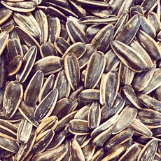 特大水煮瓜子 葵瓜子 600g, 1個, 原味（大粒）葵瓜子