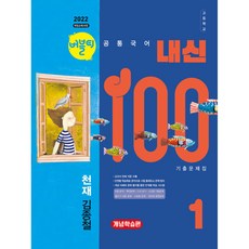 버블티 내신100 고등공통국어 1 천재(김종철) 기출문제집 개념학습편 (2025년) [ 2022 개정 교육과정 반영 ], 국어영역, 고등학생