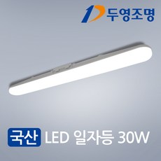 LED 국산 일자등 30W, 주광색(흰빛)