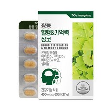 광동생활건강 - 광동 혈행&기억력 징코 450mg x 60정, 1정, 1개