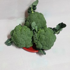 국내산 브로콜리, 1박스, 2kg