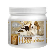 데이스포 에이치시리즈 영양제 250g + 모이스트버거 증정, 1개, 소화+장건강, 170정