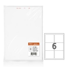 프로라벨 13종 A4 100매(벌크용)/폼텍 호환 라벨, 6칸 PR7006, 2팩