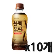 하이트진로 블랙보리 미니페트 340ml, 10개