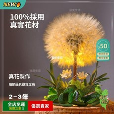 A15 永生蒲公英玻璃罩擺件，香皂花情人節禮物，桌面裝飾持久保鮮精緻禮盒, 夜燈款-漸變綠色-蒲公英,簡裝【無禮盒賀卡手提袋】