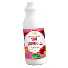 쉘몬 과일 농축 액 베이스 라임 1kg, 쉘몬 과일 농축액 베이스 라임 1kg