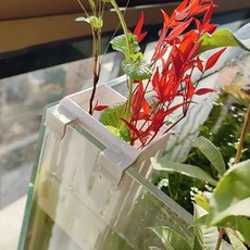 물품보관 원예도구 재배도구 농업용품 수경재배 걸이식 수경재배통