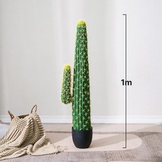 선인장 화분 장식품 개업선물 분재 높은 옐로우 조경, 멕시코 선인장 한손 1m(노란 가시), 1개, 1L