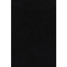 (영문도서) Nasb the Grace and Truth Study Bible European Bonded Leather Black Red Letter 1995 Text ... Bonded Leather, Zondervan, English, 9780310088479