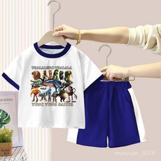 山海經通通木棍男童純棉短袖短褲兩件套2025新款兒童洋氣T恤套裝 RGFB