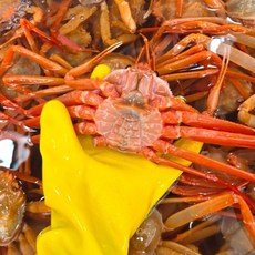 기타 [일품대게] 구룡포 연지 홍게 A급 4kg (13-15마리), 1박스