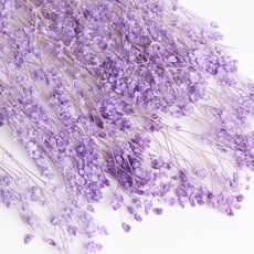 화연양화 표백 안개꽃 10색 한다발 프리저브드플라워, 10 퍼플