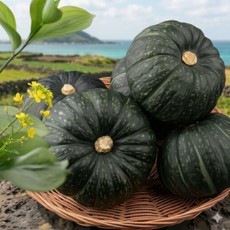 산지직송 제주 미니 밤호박 고품위 무농약재배 보우짱, 1박스, 3kg