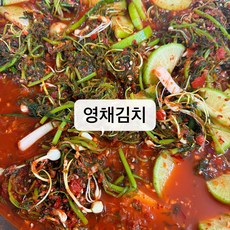해성중국식품 연변반찬 햇영채김치 쪽파 중국무우 500g1봉, 500g, 500g, 1개