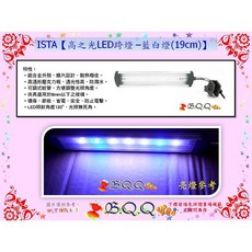 ISTA 伊士達 高之光 LED夾燈 藍白燈 19cm