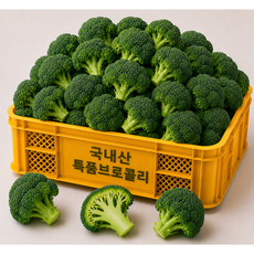 [200개한정수량] 국내산 신선한 특품 브로콜리, 1개, 2kg