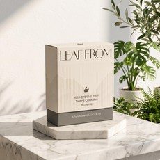 리프프롬 테이스팅 컬렉션 차 티백 샘플러 4종 8입 20g, 1개, 8개입