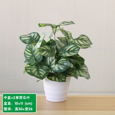 嘉義出貨 仿真花草植物 假綠植盆栽 室內外裝飾 綠蘿塑膠小盆栽 家居生活裝飾 人造花 桌面紅掌花擺件, 中盆西瓜葉, 1個