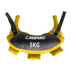 불가리안백 크로스핏 모래 주머니 스쿼트백 코어 정리대 바디스컬쳐 그린 모래주머니, 5kg 옐로우 AP-9046, 3. 5kg/노란색/AP-9046-5, 1개