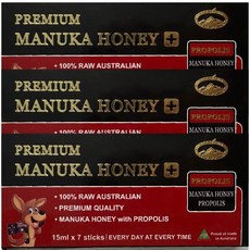 네이쳐스탑 프리미엄 프로폴리스 마누카 스틱꿀, 21개