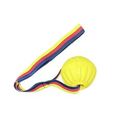 桃園有貨 狗狗訓練飛盤 耐咬磨牙 邊牧金毛柯基犬訓練球 大型犬專用, 1個, 单空心球不带绳