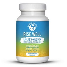 Alkaline for Life Rise Well 비타민 B12 - 비건 B12 - B12 비타민 및 에너지 보충제 - 빠르게 작용하는 B12 설하 2000mcg B 12 비타, Rise Well 비타민 B12 - 비건 B12 - B, 1개