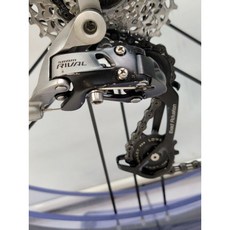 Tripeak11/12T 加大鋼珠導輪 雙齒鋒 齒溝加深加厚 變速快 SRAM RIVAL 22後變速器可以直接安裝, 1個
