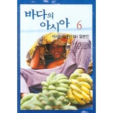 바다의 아시아 6(아시아의 바다와 일본인), 다리미디어, 오모토 케이이치 등편/김숙이 역/김웅서 감수