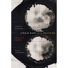 (영문도서) Virgin Mary and the Neutrino: Reality in Trouble Hardcover, Duke University Press, English, 9781478020295