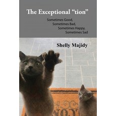 The Exceptional "tion": Sometimes Good Sometimes Bad Sometimes Happy Sometimes Sad Paperback, Dorrance Publishing Co., English, 9781649134295