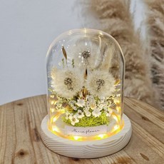 蒲公英的祝福玻璃罩槽燈款，附電池送禮推薦，防塵保潔浪漫氛圍，現貨快速出貨, 1個, 無須加購
