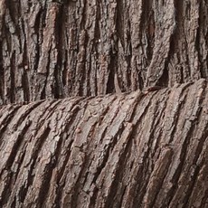 인조 나무껍질 벽 스티커 소나무 방수 3D 인테리어 재료, 1개, 길이3m 너비0.2m 접착형