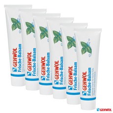 게볼 프레쉬 풋크림 75ml x6