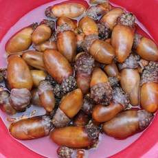 국내산 통영 자연산 손질 미더덕 500g, 1개